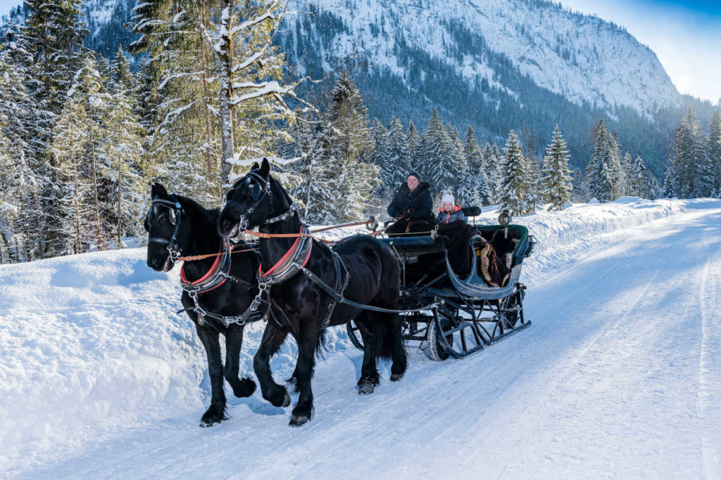 Schlittenfahrt im Winter