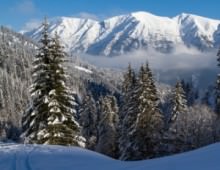 Winterzauber am Achensee: Die schönsten Aktivitäten ohne Ski
