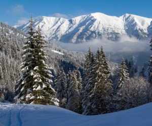 Winterurlaub ohne Ski