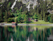 Wanderung am Achensee: Die Gaisalm ruft!