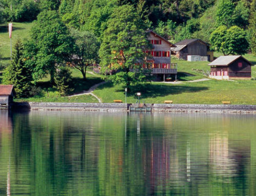Gaisalm am Achensee: Wanderwege, Einkehr & Rückweg per Schiff