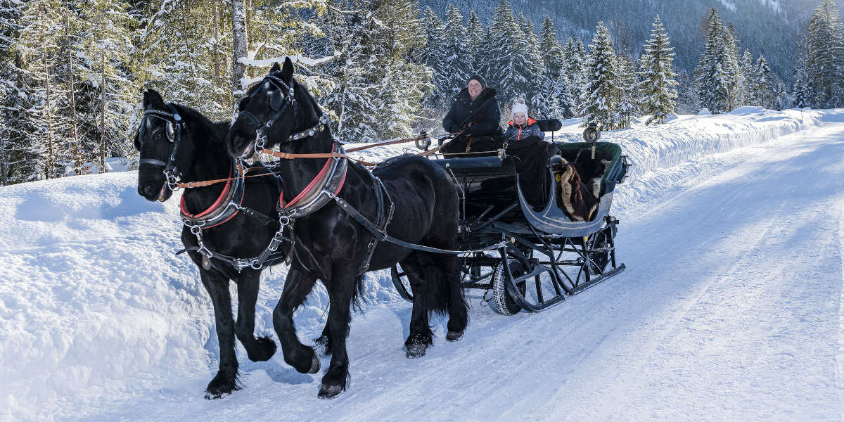 Schlittenfahrt im Winter